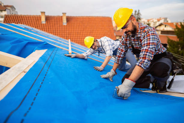 Best Storm Damage Roof Repair  in Independence, WI
