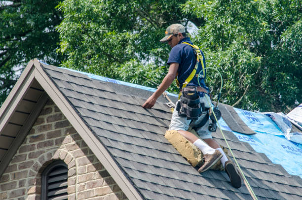 Best Roof Maintenance Services  in Independence, WI